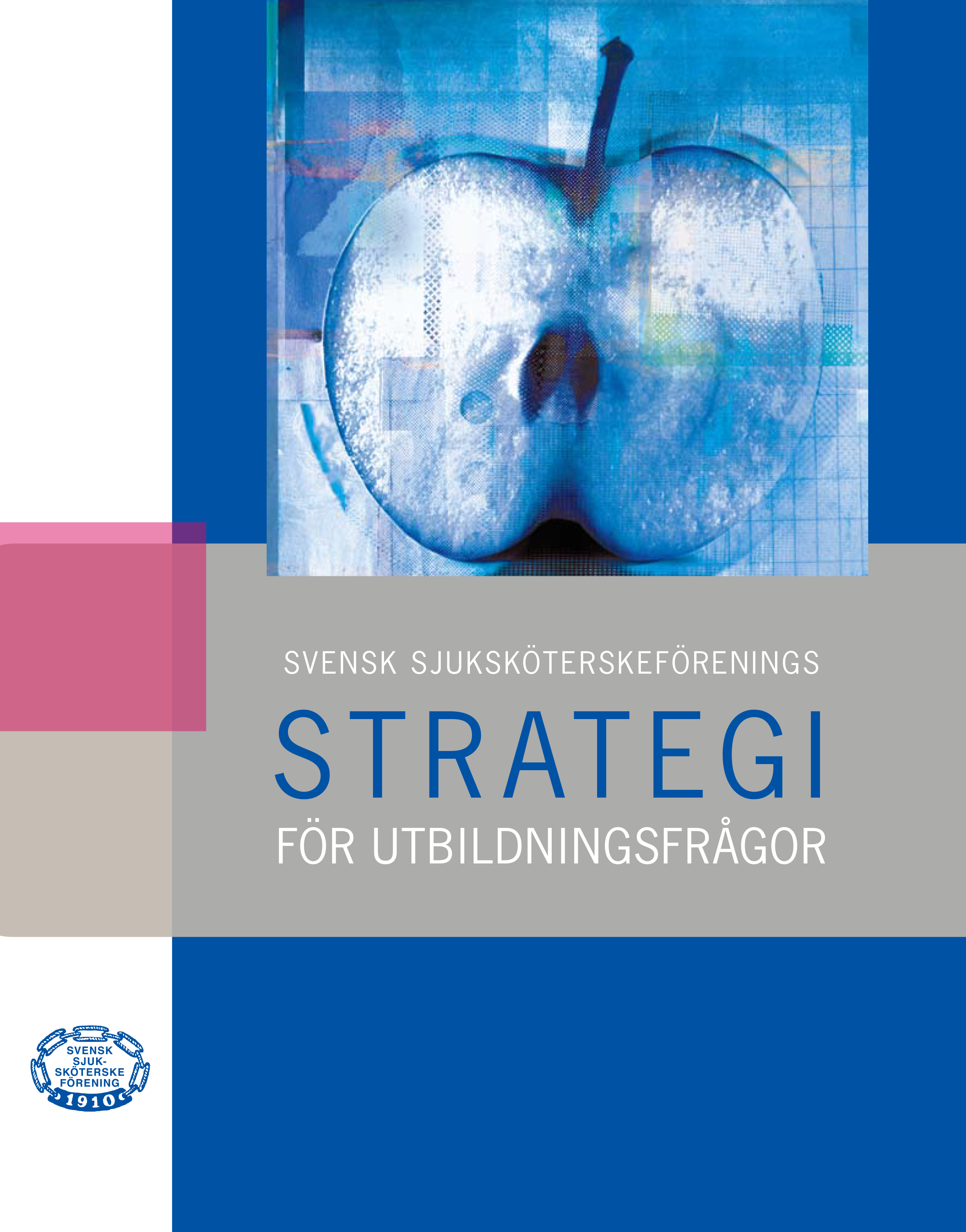 Omslag Svensk sjuksköterskeförenings strategi för utbildningsfrågor